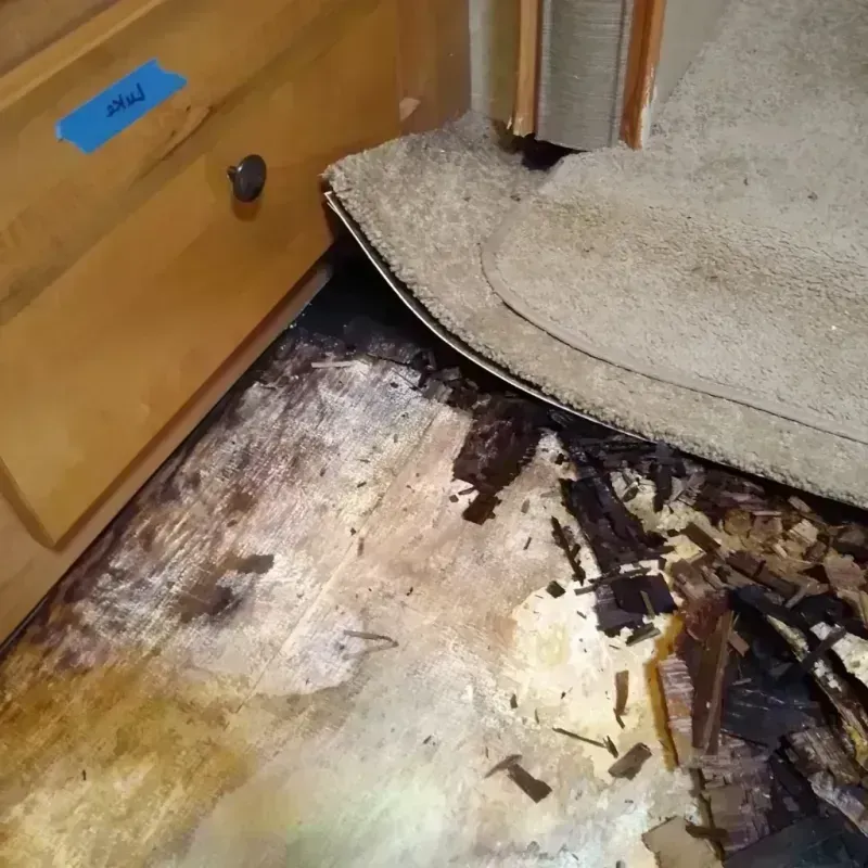 Wood Floor Water Damage in Helena, AL